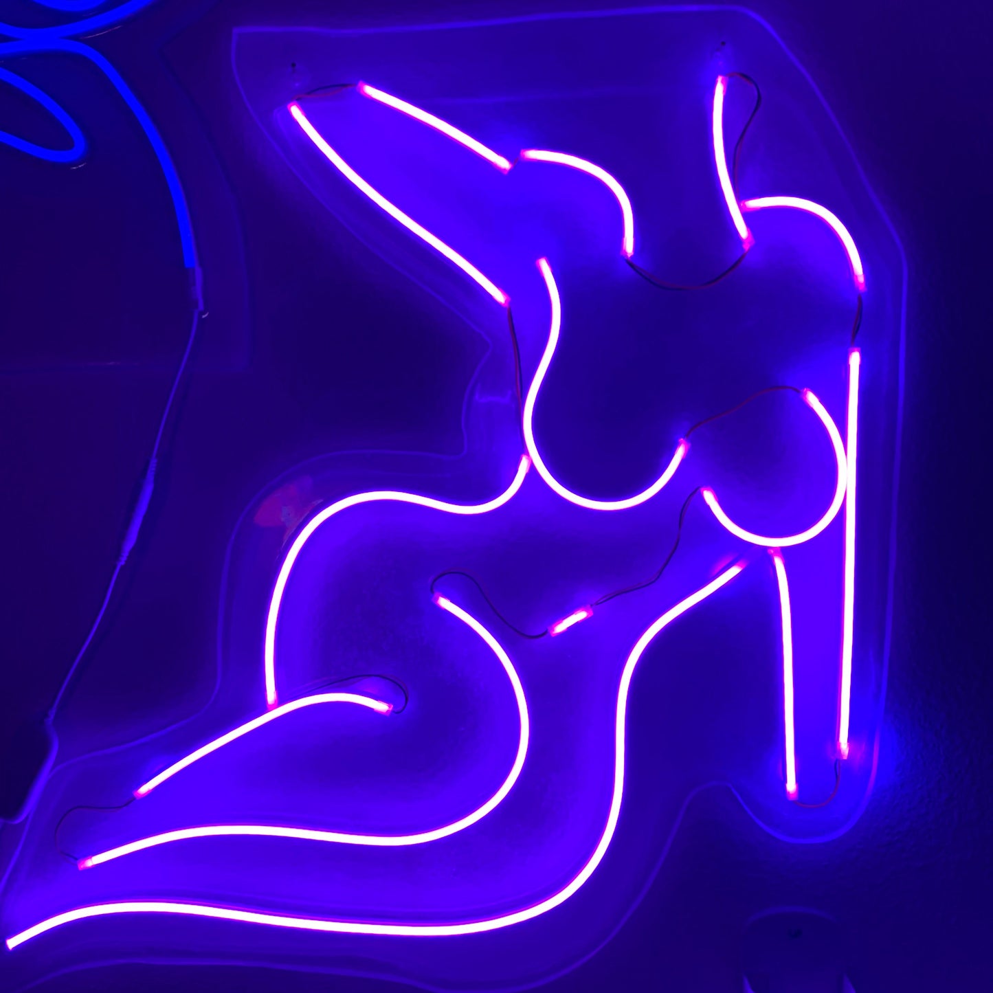 Eclipse Desire — Femme & Wolf Neon Light Pair